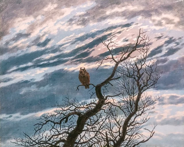 Eine Eule auf einem kahlen Baum