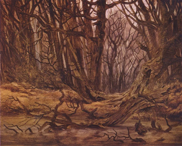 Forest in late autumn