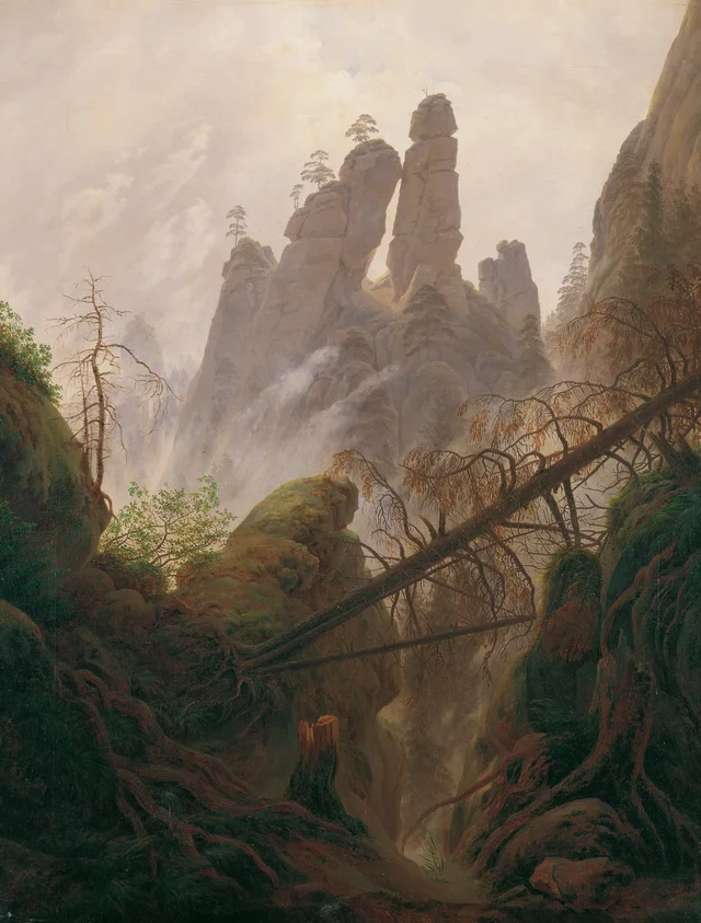 Rocky ravine in the Elbe Sandstone Mountains