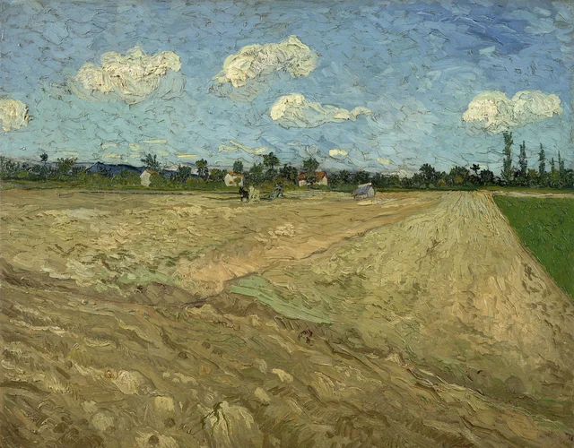 Ploughed fields