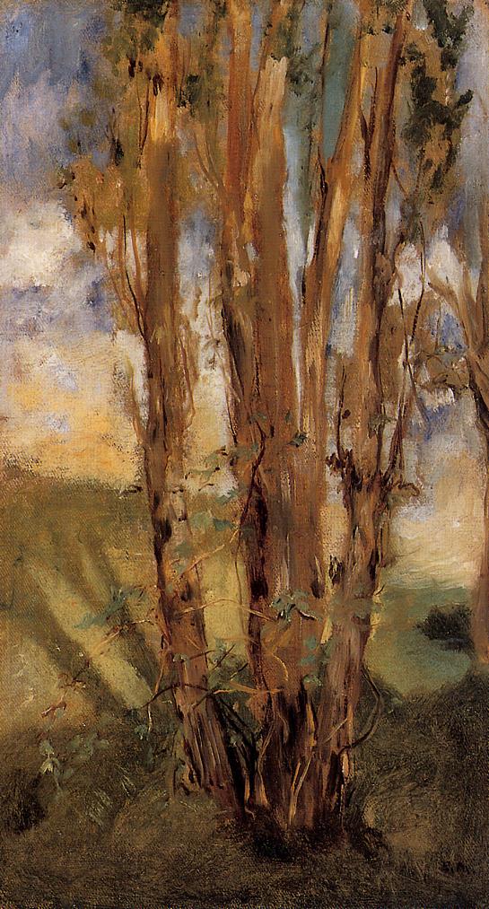 Studio di alberi