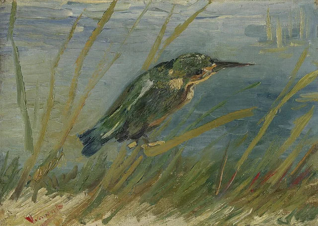 Kingfisher by the Waterside