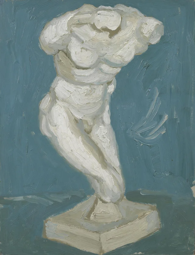Male Torso
