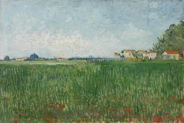Campo con amapolas