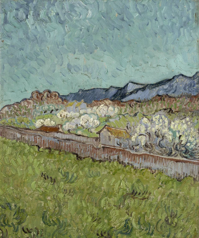 View of the Alpilles