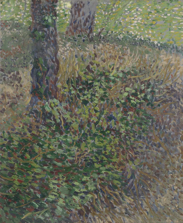 Undergrowth