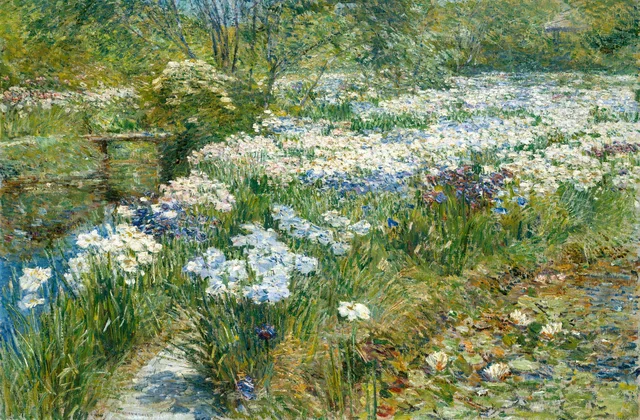 Il giardino d'acqua