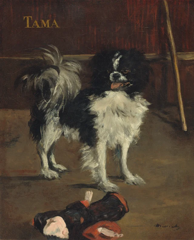Tama, el perro japonés