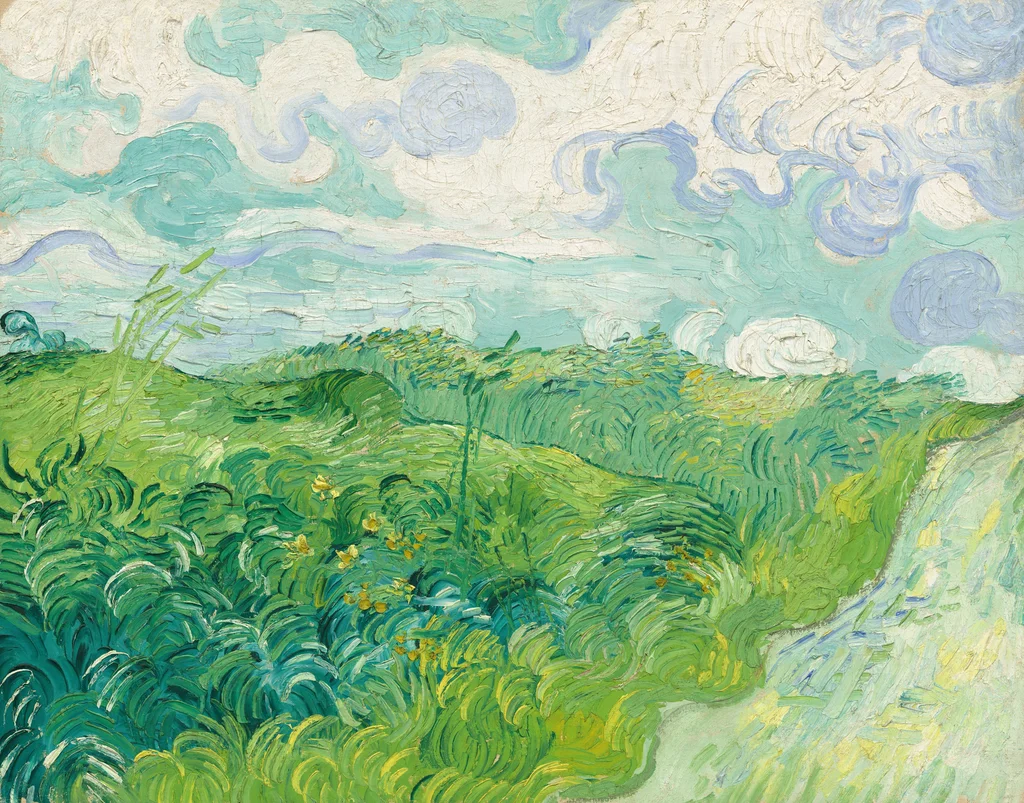 Campi di grano verde, Auvers