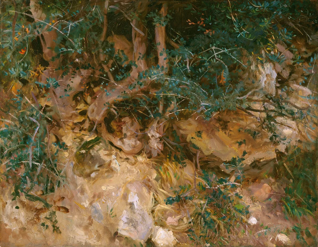 Valldemossa, Mallorca: Disteln und Kräuter an einem Hang