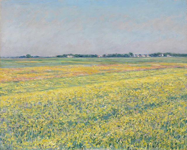The plain of Gennevilliers, yellow fields