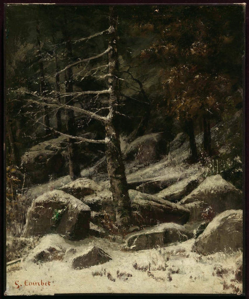 Pendio boscoso in inverno