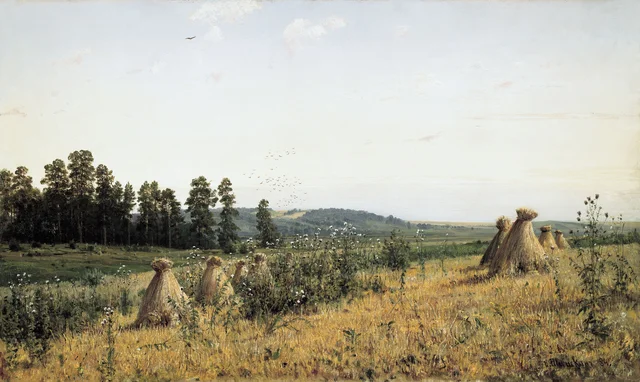 Polesie Landscape