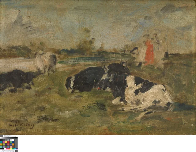 Cows on the meadow