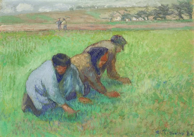 Le sarchiatrici