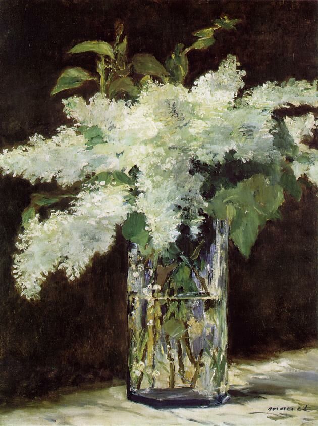 White Lilacs in a Glass Vase