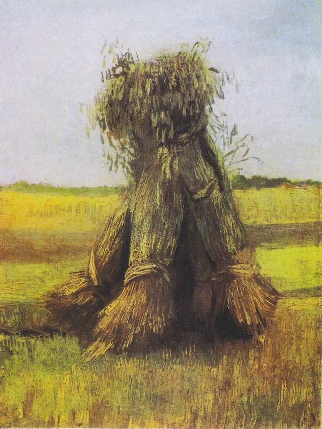 Covoni di grano in un campo