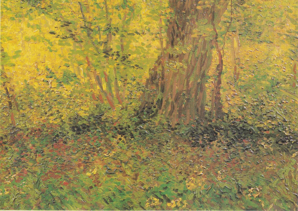 Sotobosque