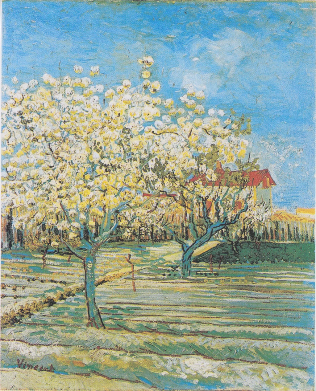 Huerto en flor
