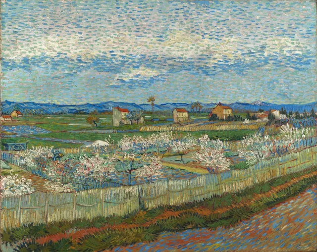Peach Trees in Blossom