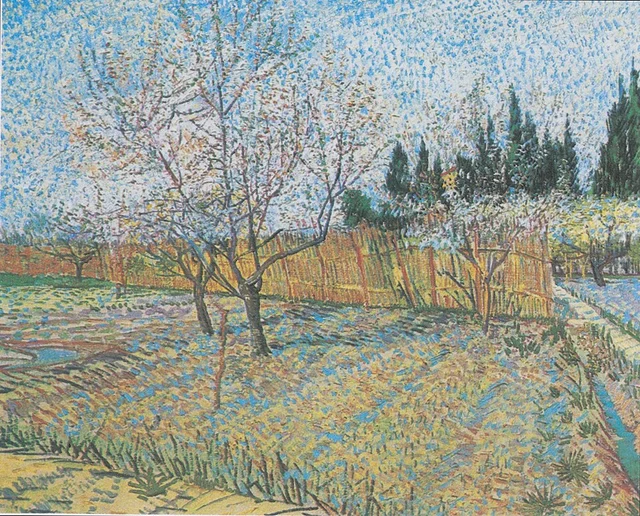 Obstgarten mit blühenden Pfirsichbäumen