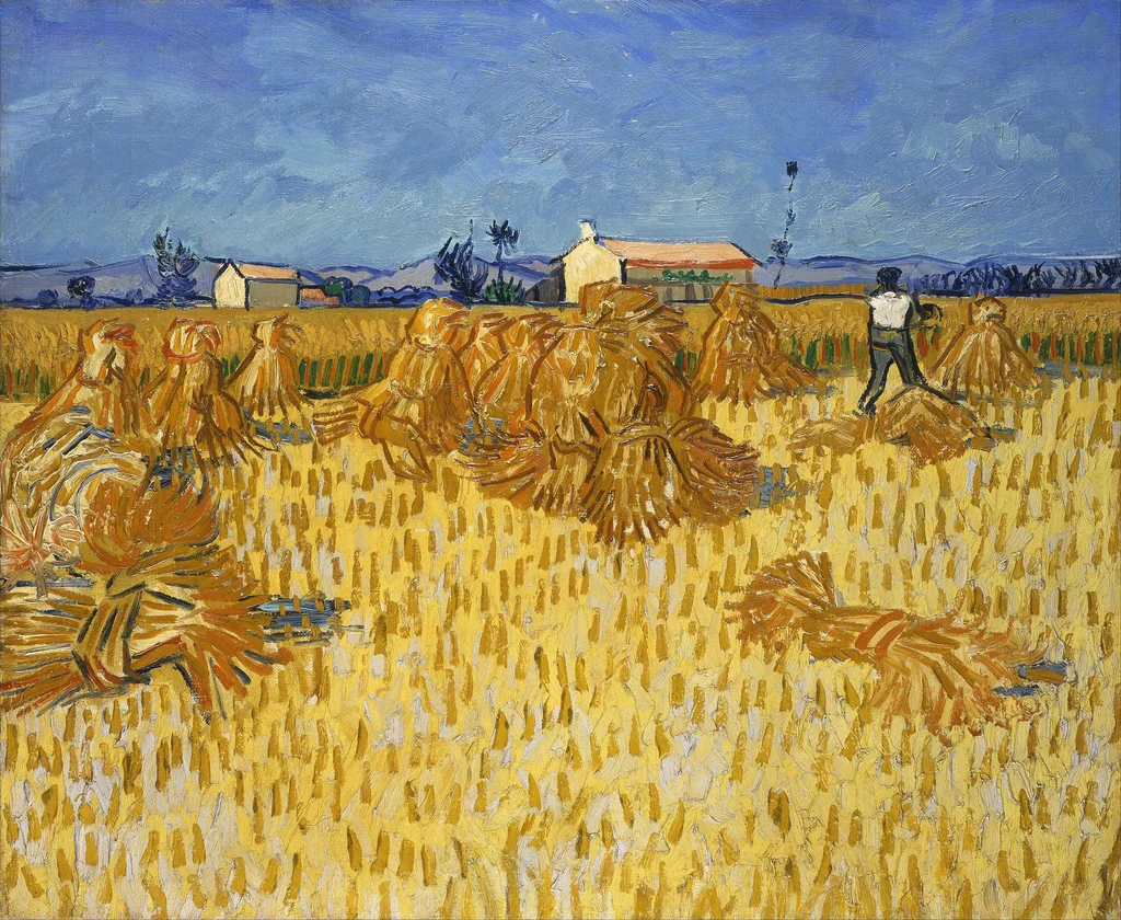 Moisson en Provence