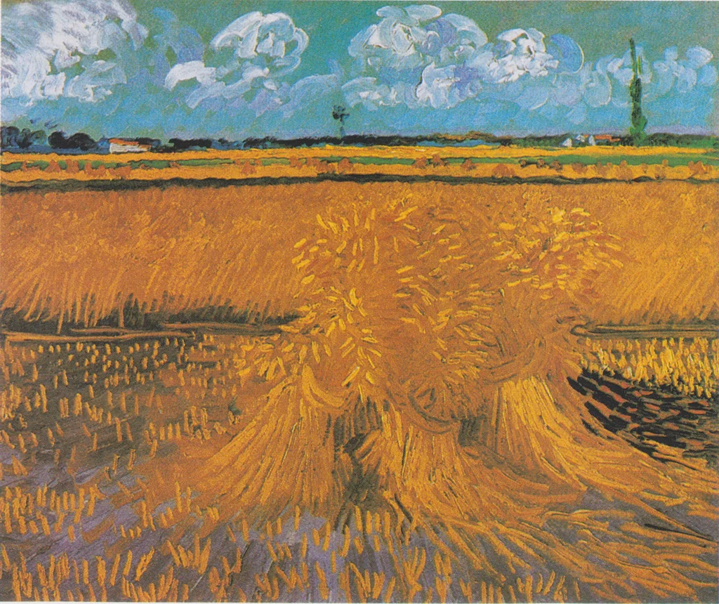 Campo de trigo con gavillas