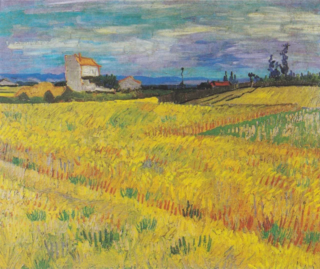 Wheat Field