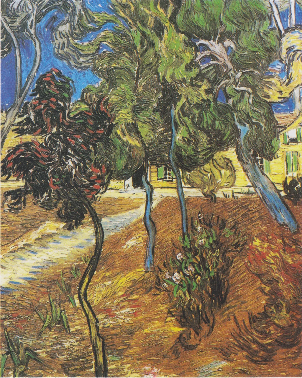 Arbres dans le jardin de l'hôpital Saint-Paul