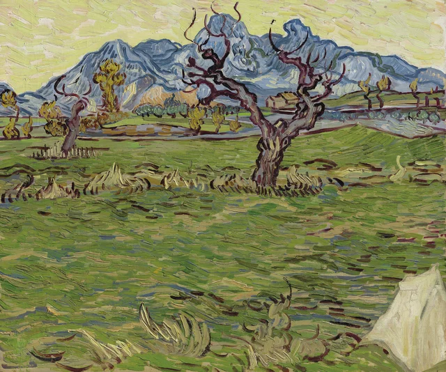 Paesaggio con ulivo e montagne sullo sfondo