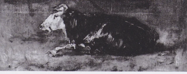 Lying Cow