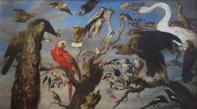 Bird's Concert