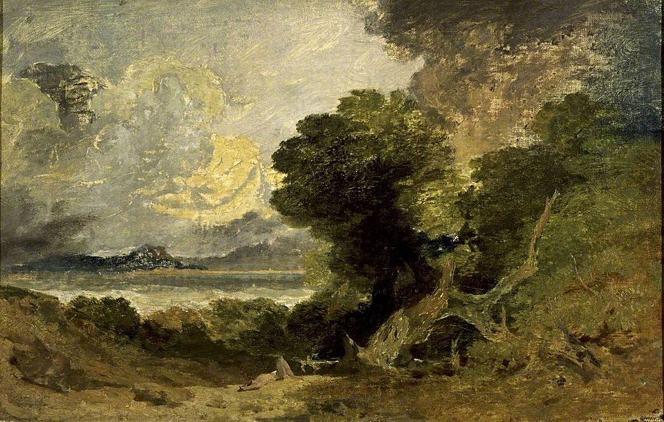 Landschaft mit See und umgestürztem Baum