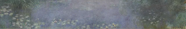 The Water Lilies - Morning