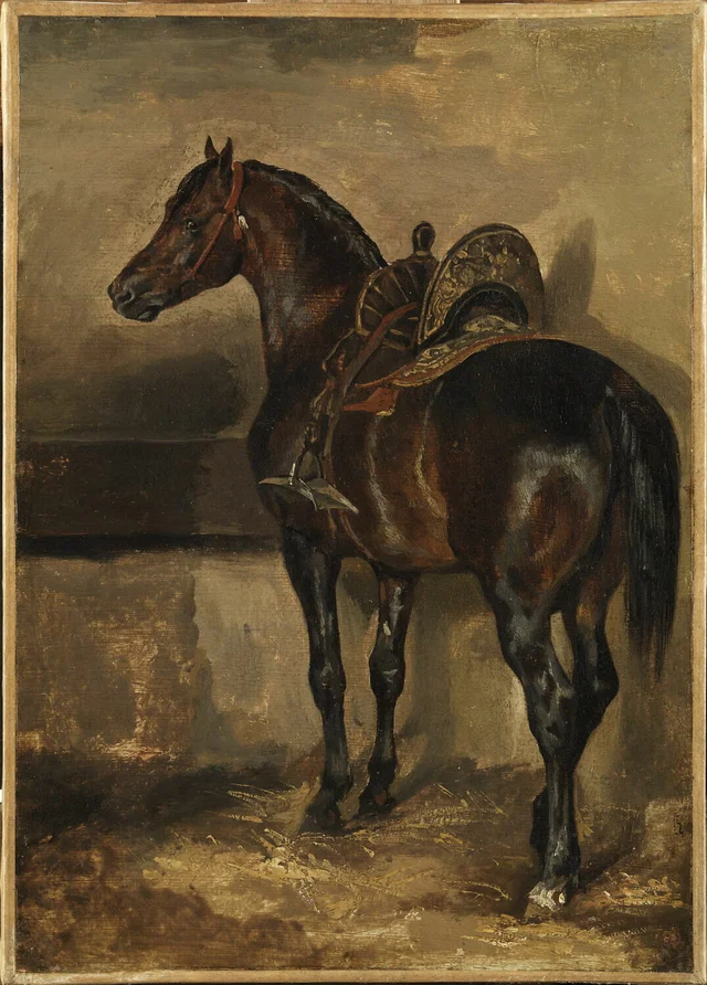 Turkish Horse in a Stable