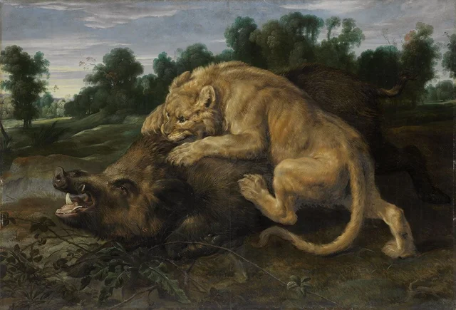 A Lioness Striking a Wild Boar