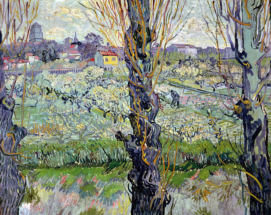 Vista de Arles com Pomares em Flor