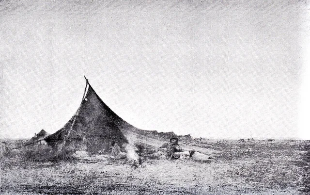 Tents at sunset