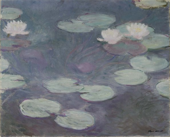 Water Lilies