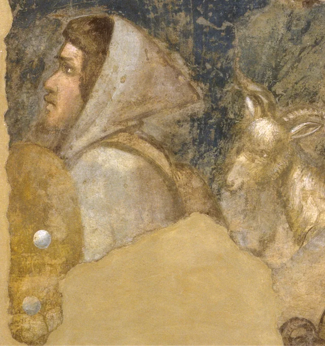 Shepherd's Head and Flocks