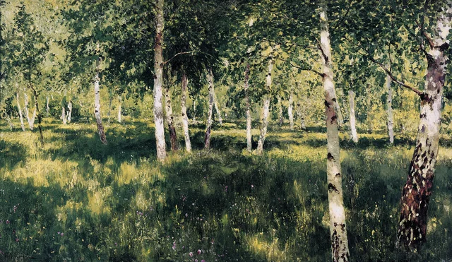 Bosque de abedules