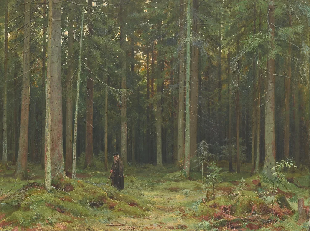 Bois de la comtesse Mordvinova. Peterhof