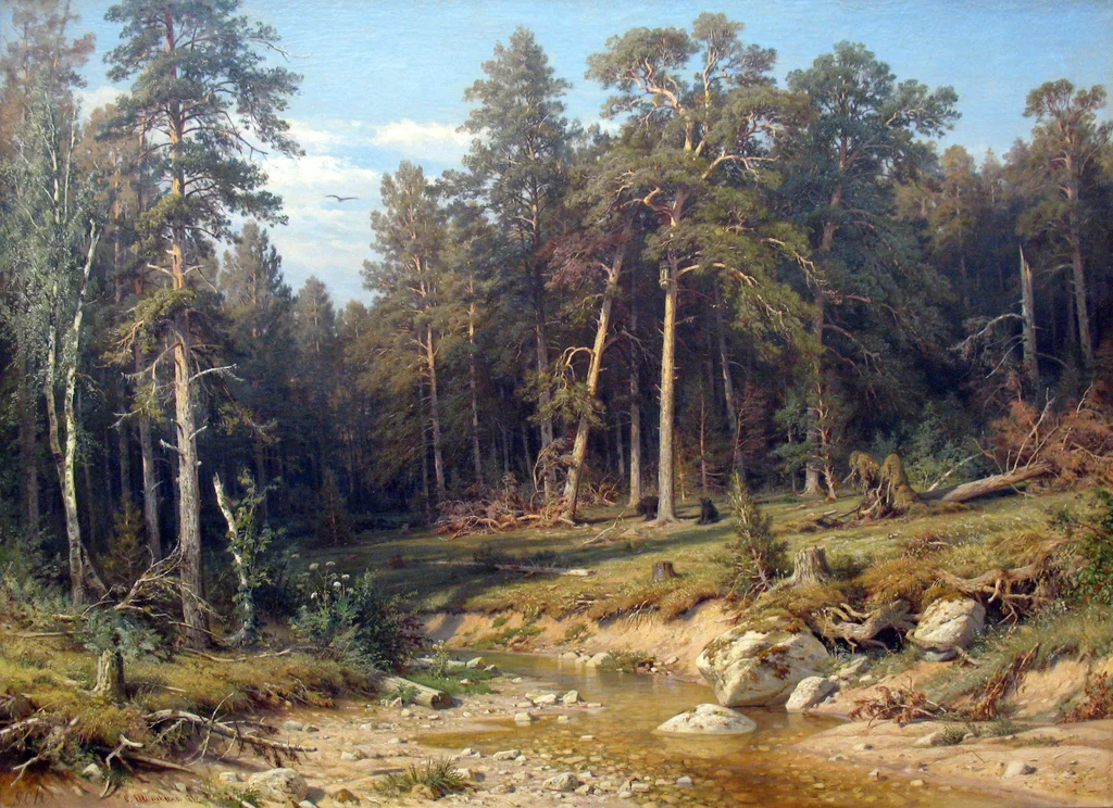 Kiefernwald. Mastholzwald im Gouvernement Wjatka