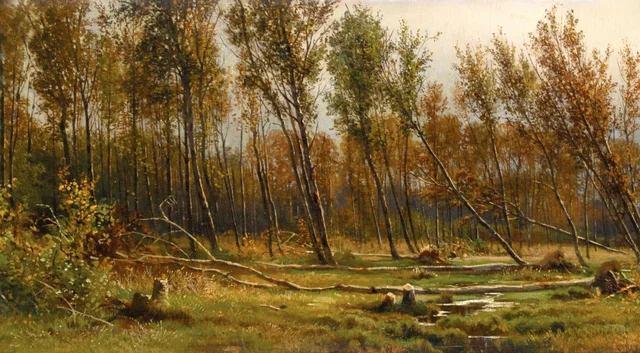 Birches after Storm
