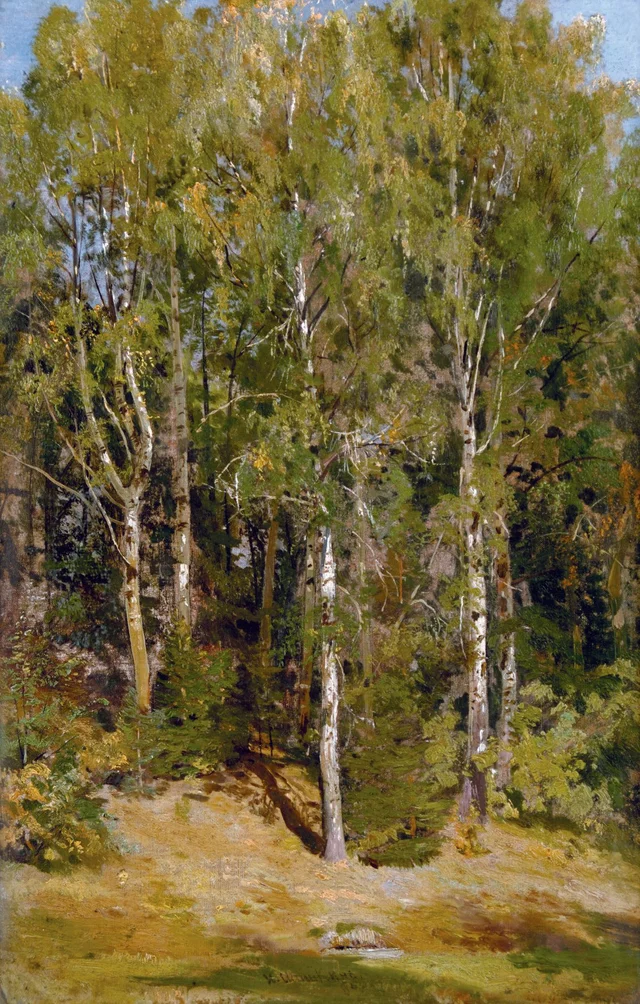 Birch Grove