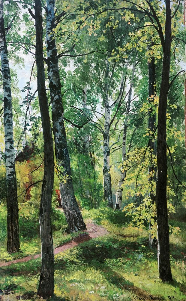 Deciduous Forest. Etude
