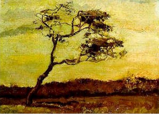 Albero sferzato dal vento