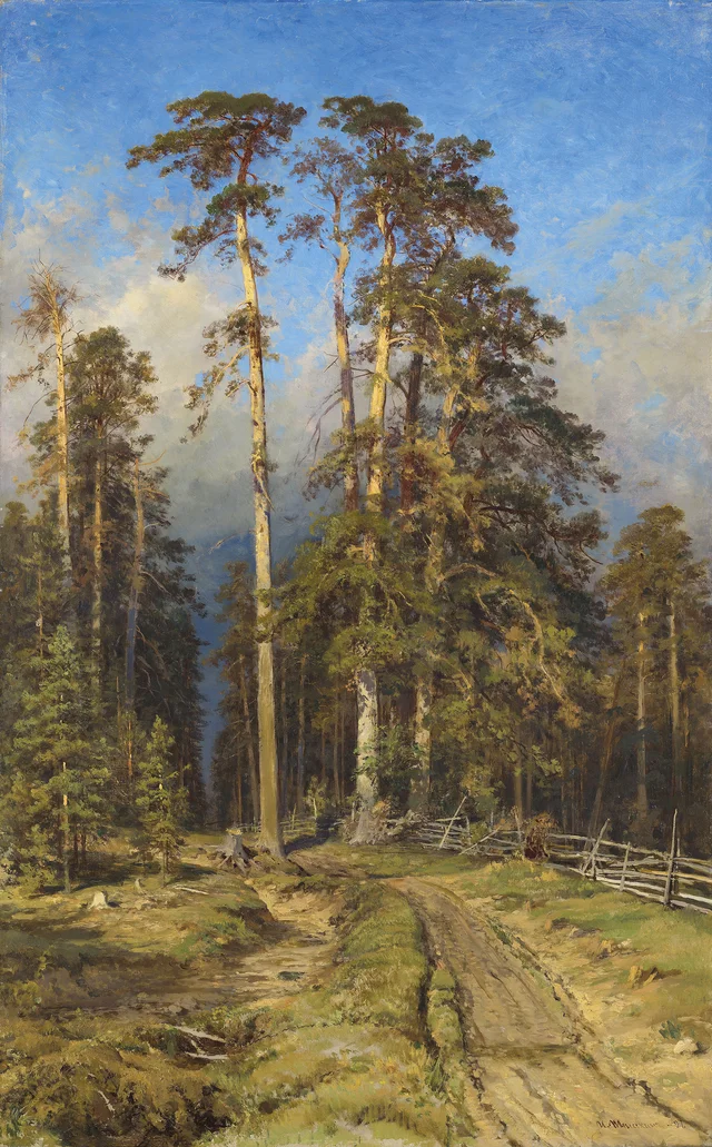 Foresta di pini