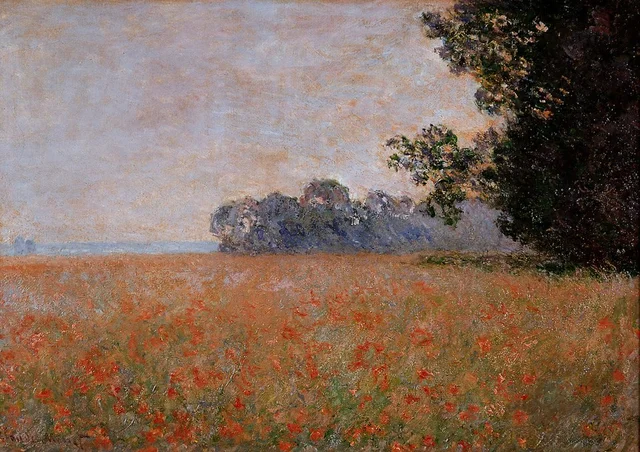 Champ d'avoine aux coquelicots