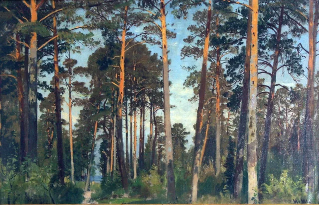 Pines